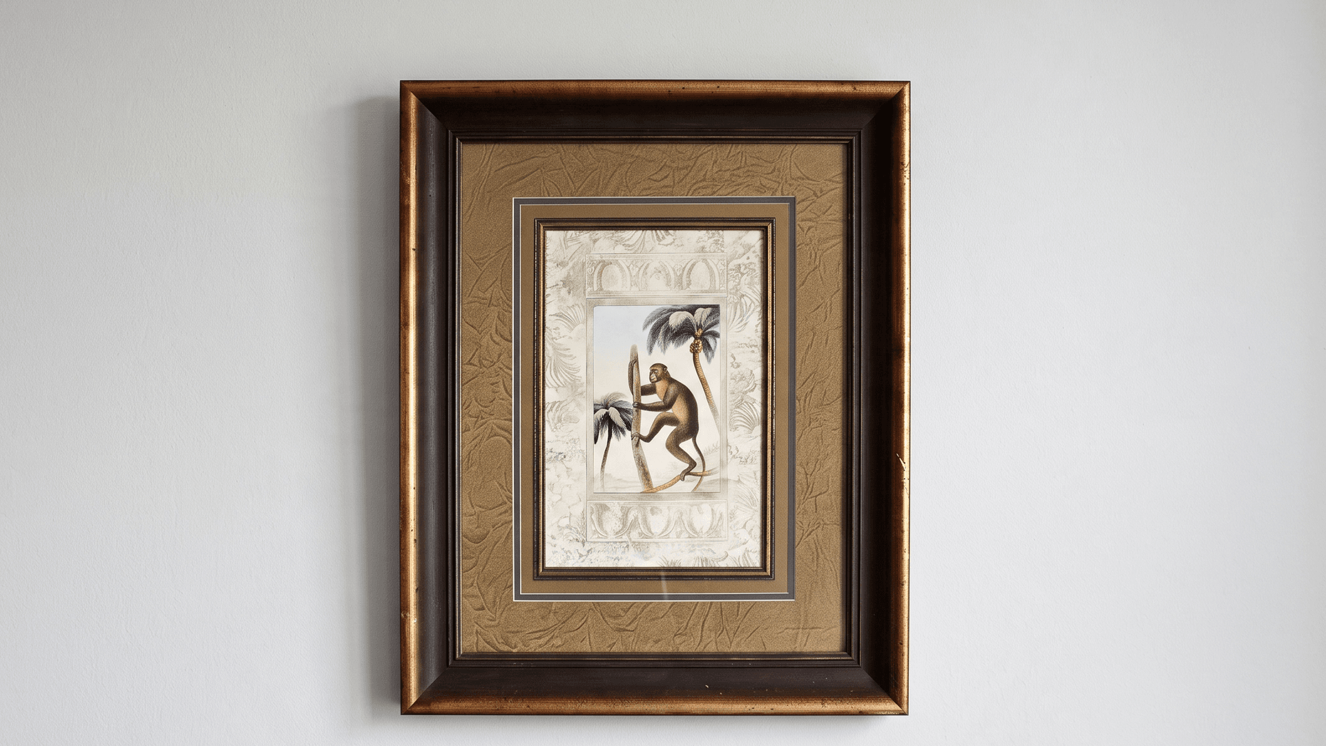 Amazon Primates Ii Print by Zachary Alexander I