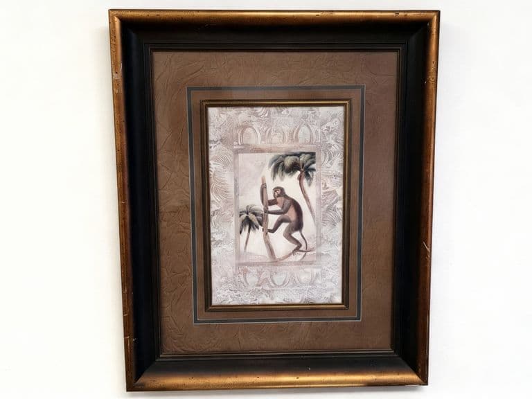 Amazon Primates Ii Print by Zachary Alexander I