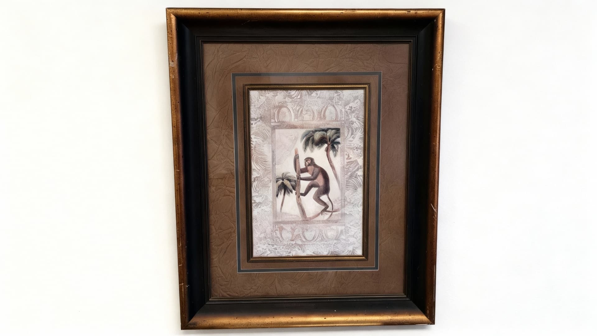 Amazon Primates Ii Print by Zachary Alexander I