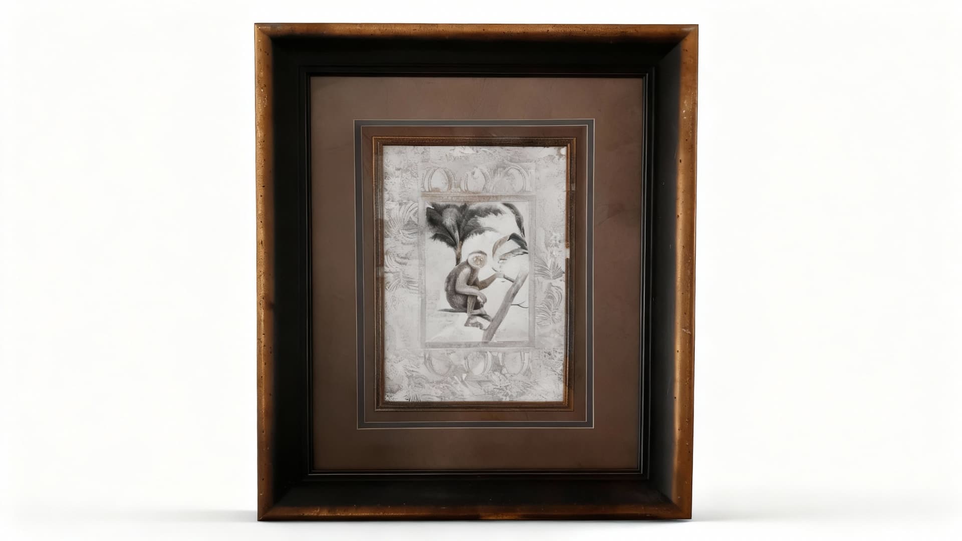Amazon Primates Ii Print by Zachary Alexander II