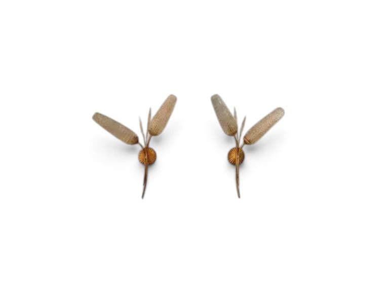 Vintage Mid-Century Modern Messing Wandlampen – Set van 2 | Geribd Glas & Botanisch Design (ca. 1950-1970)